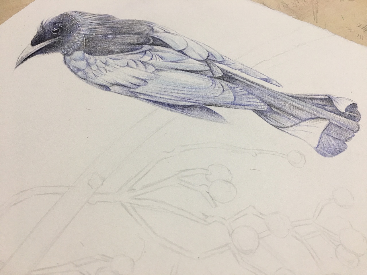 每天进步一点点