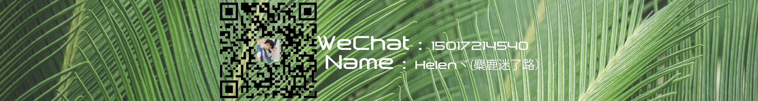 麋鹿迷路攝影的個(gè)人主頁(yè)（封面預(yù)覽） - 主頁(yè)封面設(shè)置 - 站酷設(shè)計(jì)師麋鹿迷路攝影原創(chuàng)素材 - 站酷ZCOOL