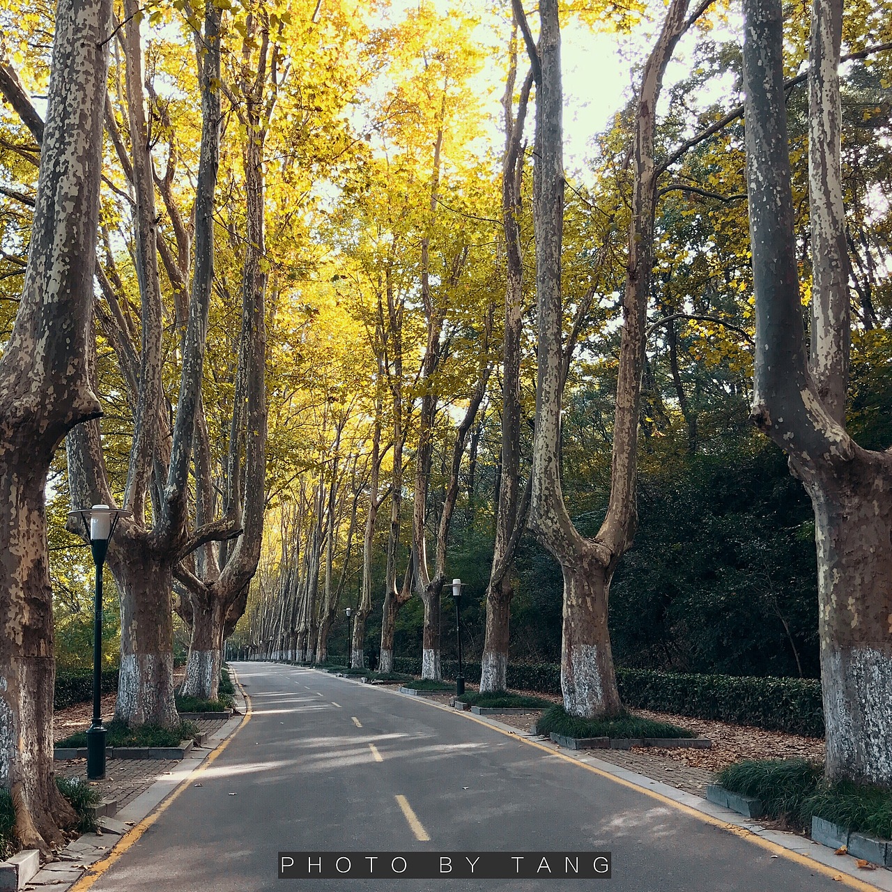 iPhone7plus 风景照片拍摄记录（图ZNjM1ODA0ODQ=） - 风光摄影 - 站酷设计师twstc原创素材 - 站酷ZCOOL