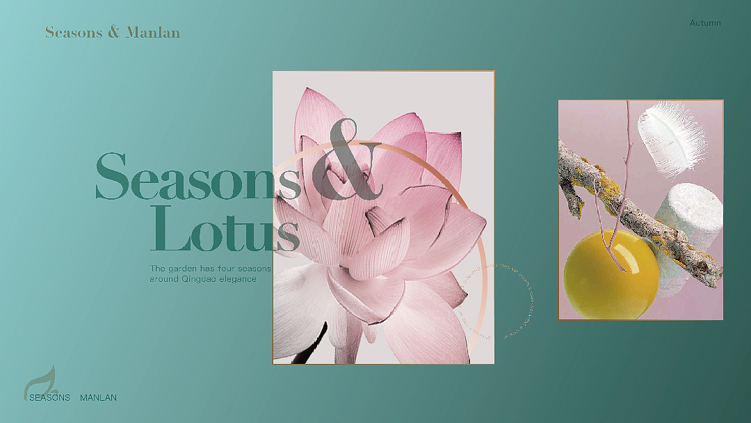 描金边的少女心