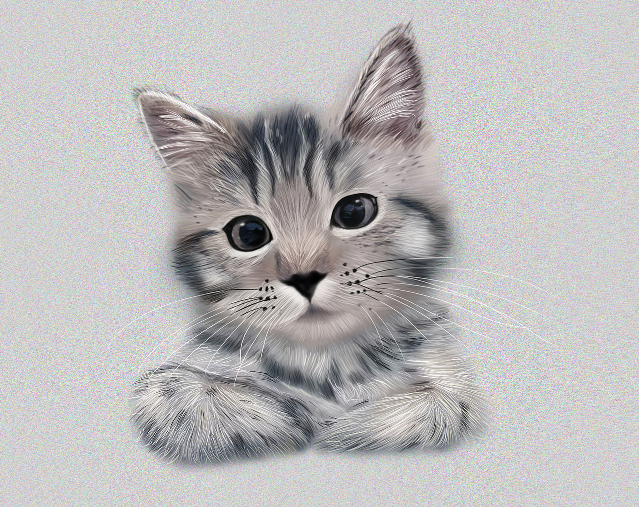 插畫貓，第一次畫（圖ZOTc4Nzg3OTI=） - 創(chuàng)作習作 - 站酷設計師Dtt小花兒原創(chuàng)素材 - 站酷ZCOOL