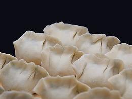 猪肉和茴香的五谷轮回路