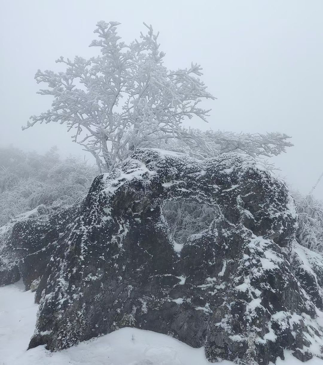 一颗红心♥️送给你