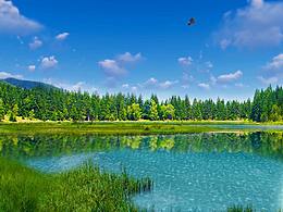 绿水青山