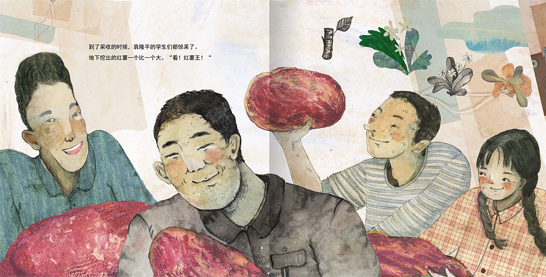 绘本《杂交水稻之父袁隆平》各种创作方式都用到了（图ZMjY3NjMwMzEy） - 绘本 - 站酷设计师黛西野鹤原创素材 - 站酷ZCOOL