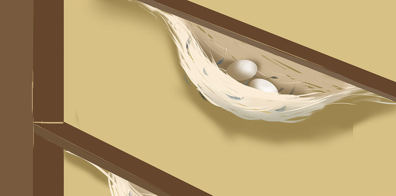 燕窝是怎样形成的|插画|儿童插画|太阳子与琥珀君_原创作品-站酷zcool