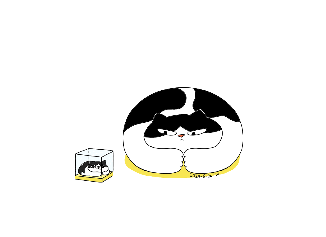 每日一个小动图|猫咪日常第十八弹