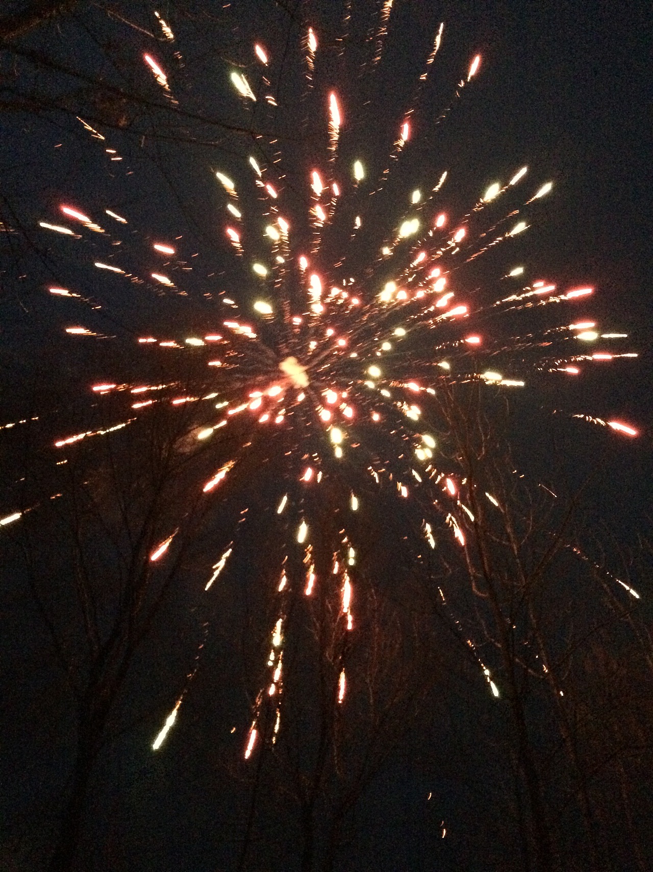 我的家乡,我的春节