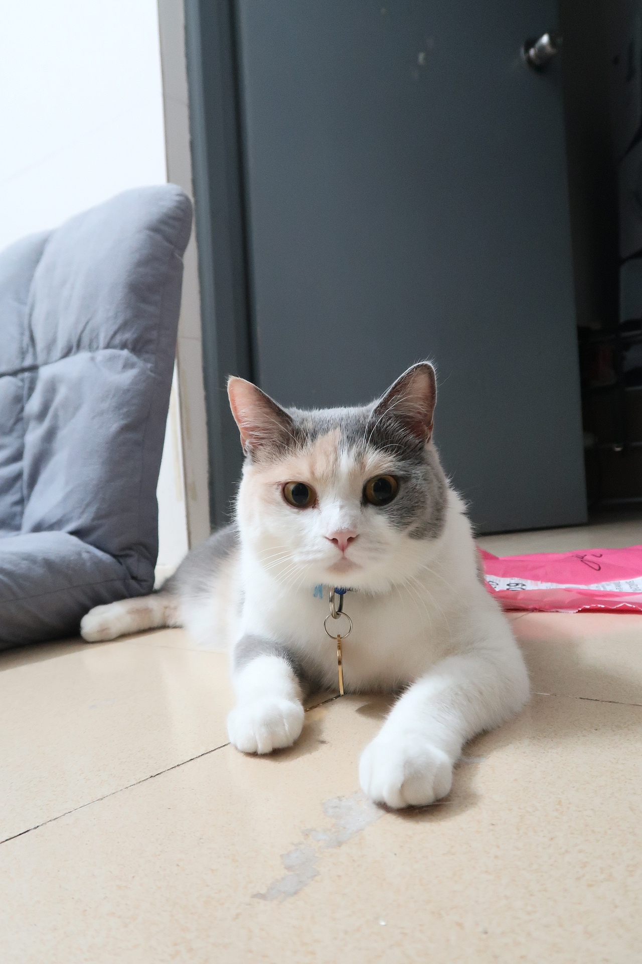 工作之余的摄影（图ZMTU3MTYzNzQw） - 风光摄影 - 站酷设计师yes田小田儿原创素材 - 站酷ZCOOL