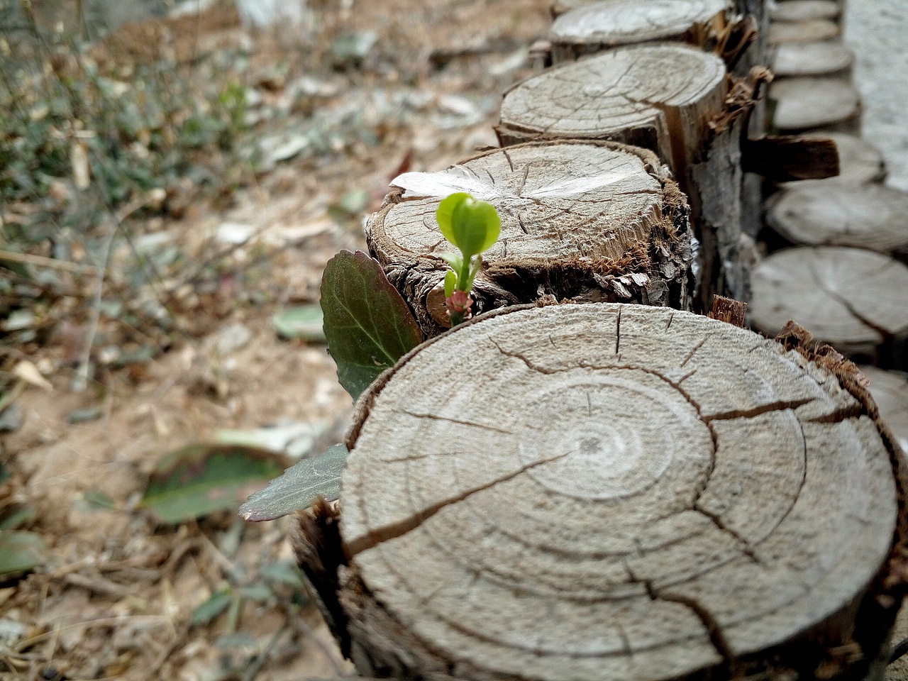 无题（图ZMTIyNzc2NTAw） - 风光摄影 - 站酷设计师HannyCheuk原创素材 - 站酷ZCOOL