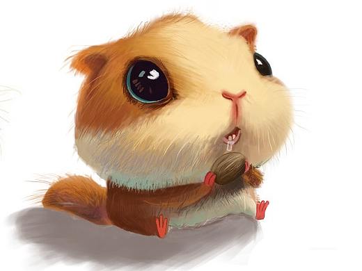 手绘插画-仓鼠插画