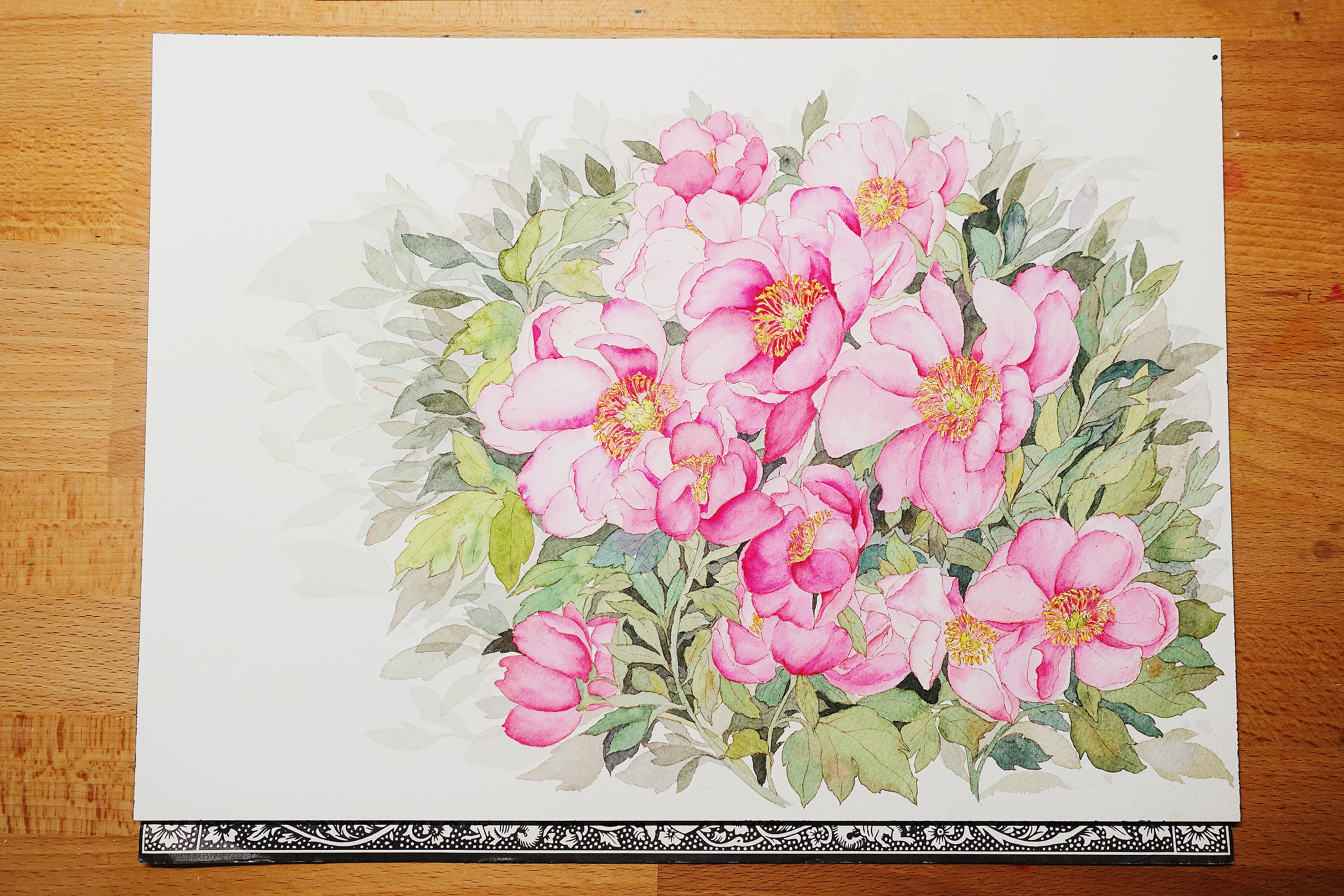 芍药花|插画|插画习作|麦子的麦 - 原创作品 - 站酷 (zcool)