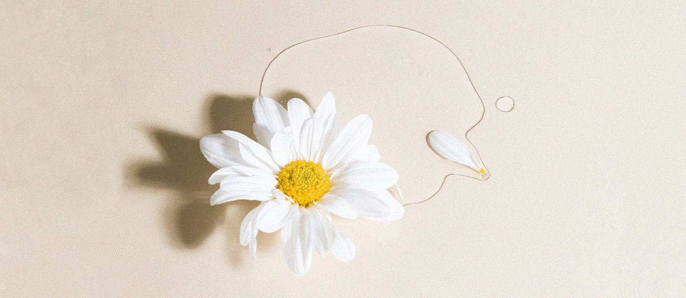 劳劳的个人主页（封面预览） - 主页封面设置 - 站酷设计师劳劳原创素材 - 站酷ZCOOL