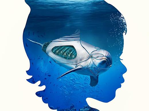【公益海报】濒危动物之白鳍豚丹顶鹤华南虎