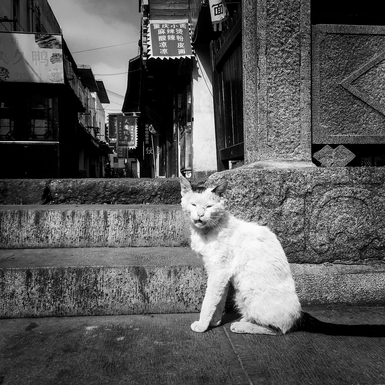 《上海南翔古镇的清晨》（图ZMTE0MTU4ODky） - 人文/纪实摄影 - 站酷设计师wangzhelqhj原创素材 - 站酷ZCOOL