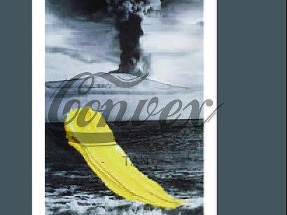 一个小标签，挂到衣服上面去的