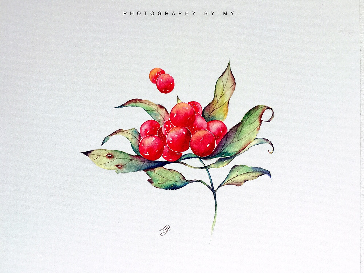 日练~自然晶透~