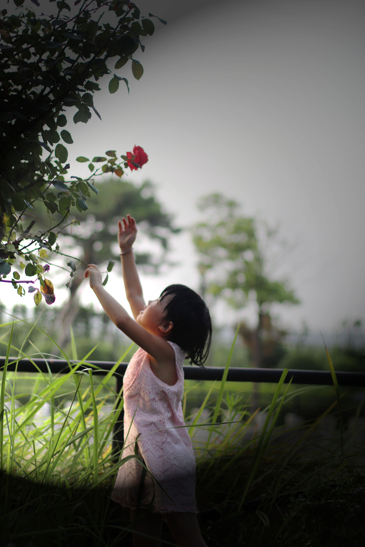 夏*雨*荷（图ZMTIxODgxNDA0） - 人像摄影 - 站酷设计师薄荷味的笑原创素材 - 站酷ZCOOL