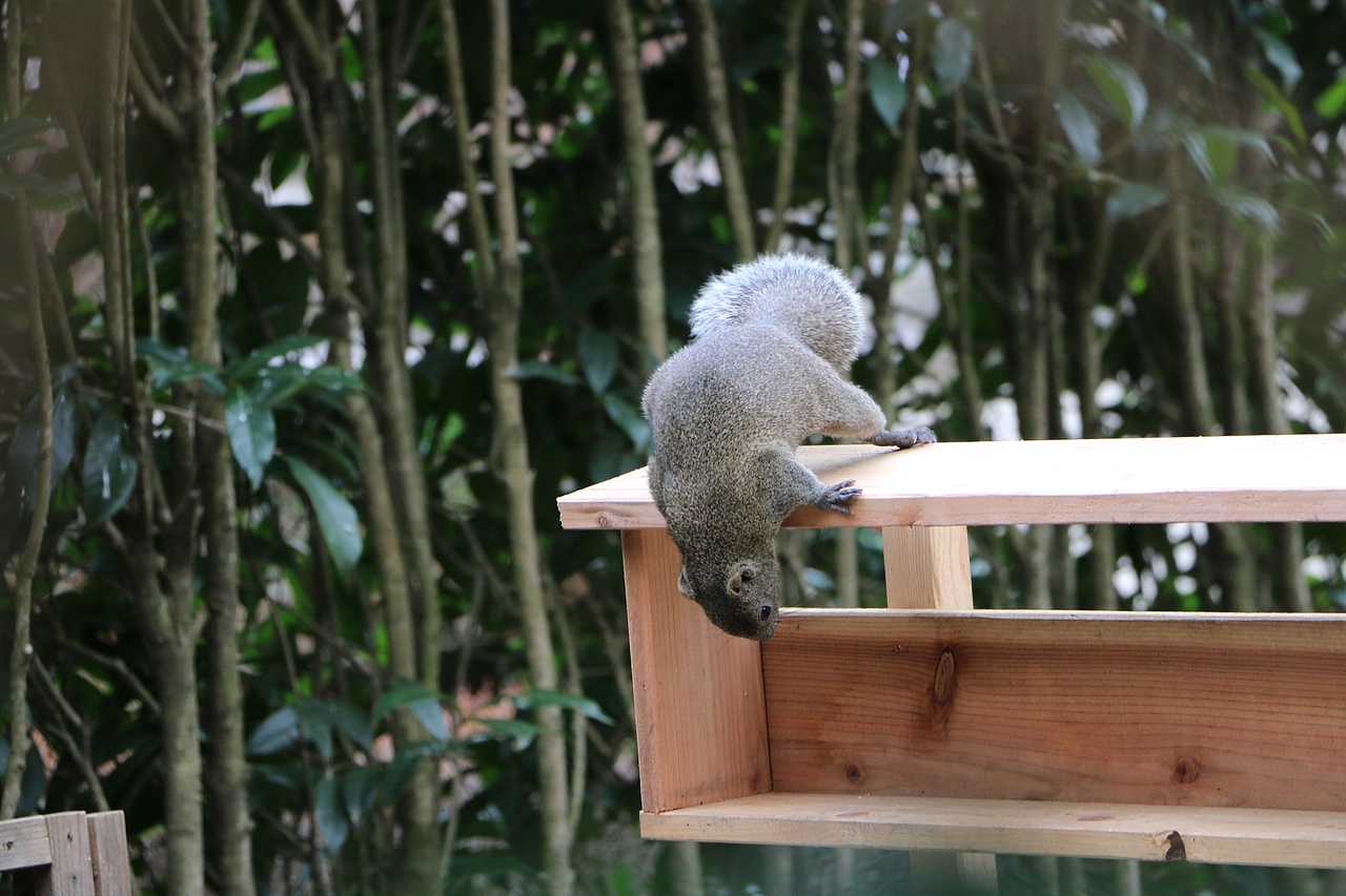 日本之行（图ZMTkzNTc3Njgw） - 风光摄影 - 站酷设计师郑克旭KC原创素材 - 站酷ZCOOL