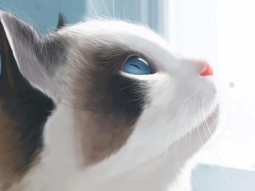 手绘练习小猫