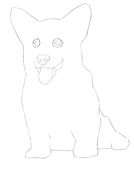 彩色铅笔画步骤教程:柯基犬的画法