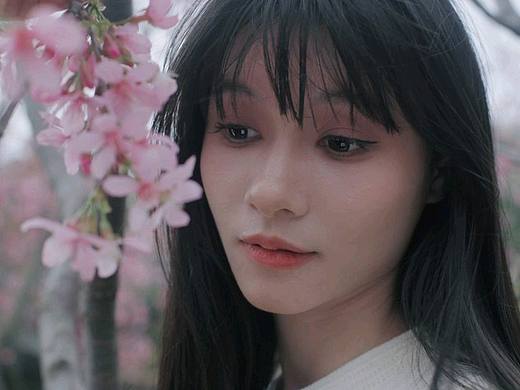 樱花树下的你