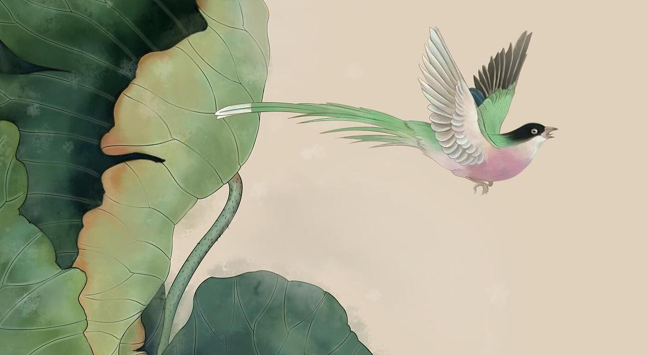 工筆國畫插畫 花鳥 荷花（圖ZNTY2NjY0MzY=） - 商業(yè)插畫 - 站酷設(shè)計師速度感原創(chuàng)素材 - 站酷ZCOOL