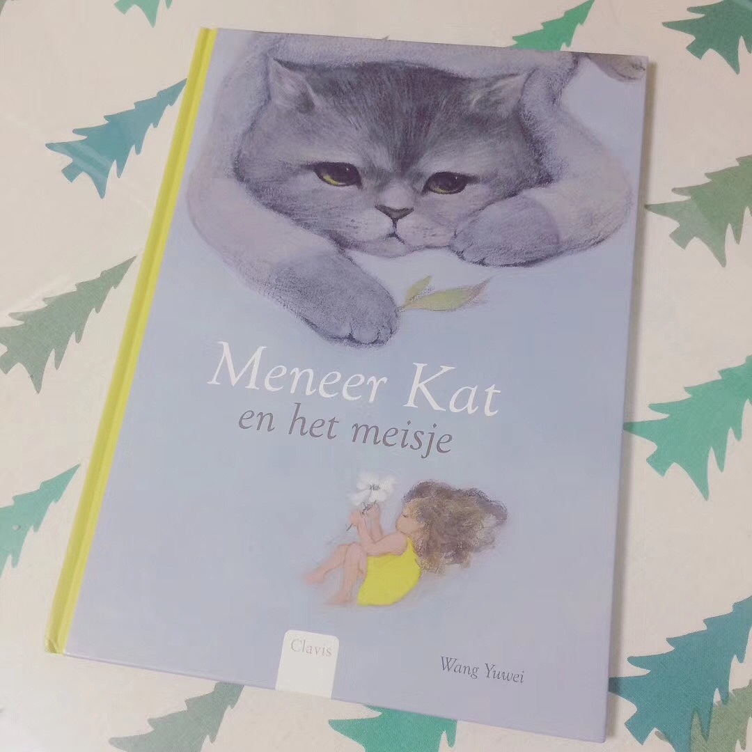 《猫先生和小小人》中文版绘本来咯~