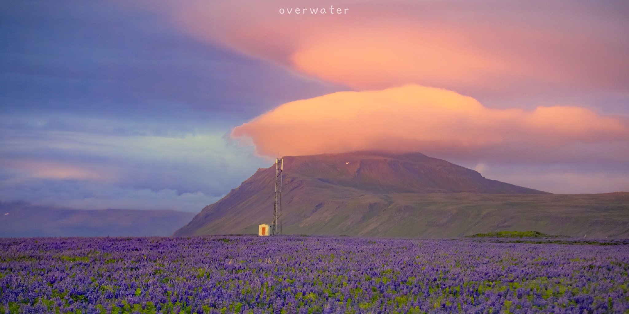 Gaoya鸭的个人主页（封面预览） - 主页封面设置 - 站酷设计师Gaoya鸭原创素材 - 站酷ZCOOL