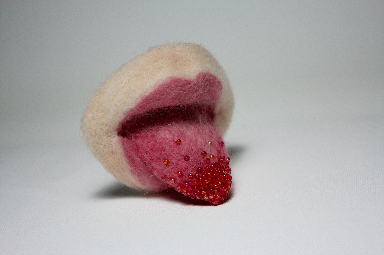 尝尝 羊毛毡胸针（图ZMTMyNTIwMTYw） - 首饰设计 - 站酷设计师艾夜原创素材 - 站酷ZCOOL