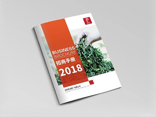 平面作品（海報(bào)、折頁、包裝）（個(gè)人主頁-ZMzcyNzU1Njg=） - 書籍/畫冊(cè) - 站酷設(shè)計(jì)師小志風(fēng)華正茂原創(chuàng)素材 - 站酷ZCOOL