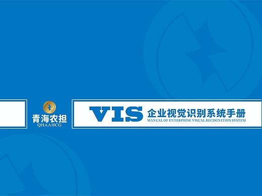 VIS手册