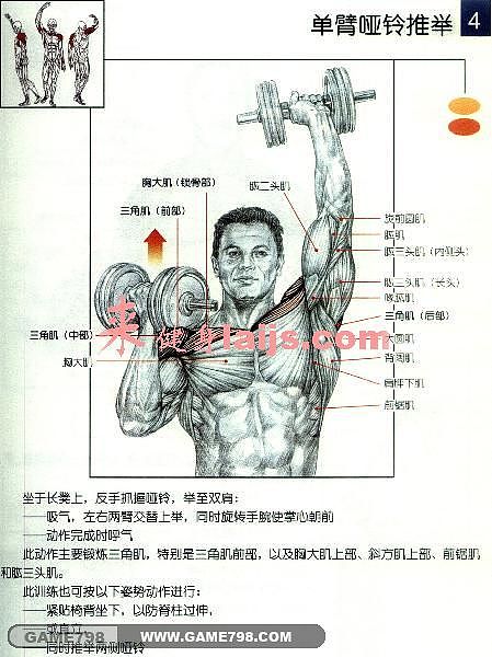 人体骨骼肌肉分布手绘稿