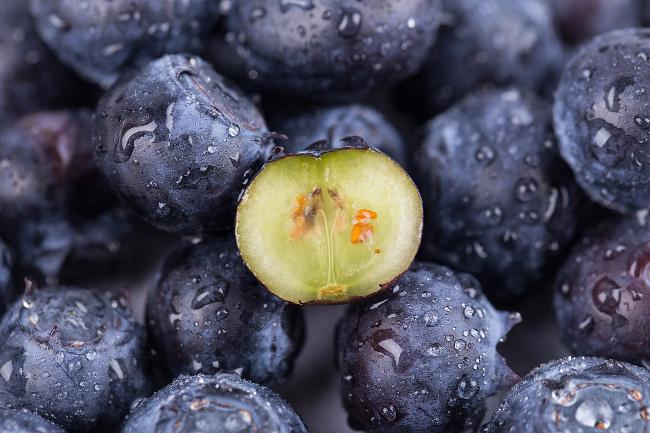 宏. 蓝莓莓被切成两半. 骨骼和内部结构都可见. 库存照片. 图片 包括有 饮食, 自治权, 蓝莓, 水平 - 233279644
