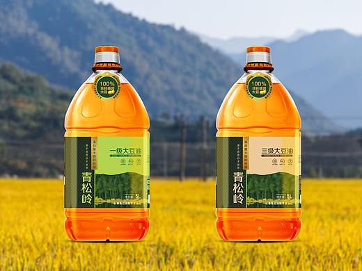 不同品牌的豆油包装