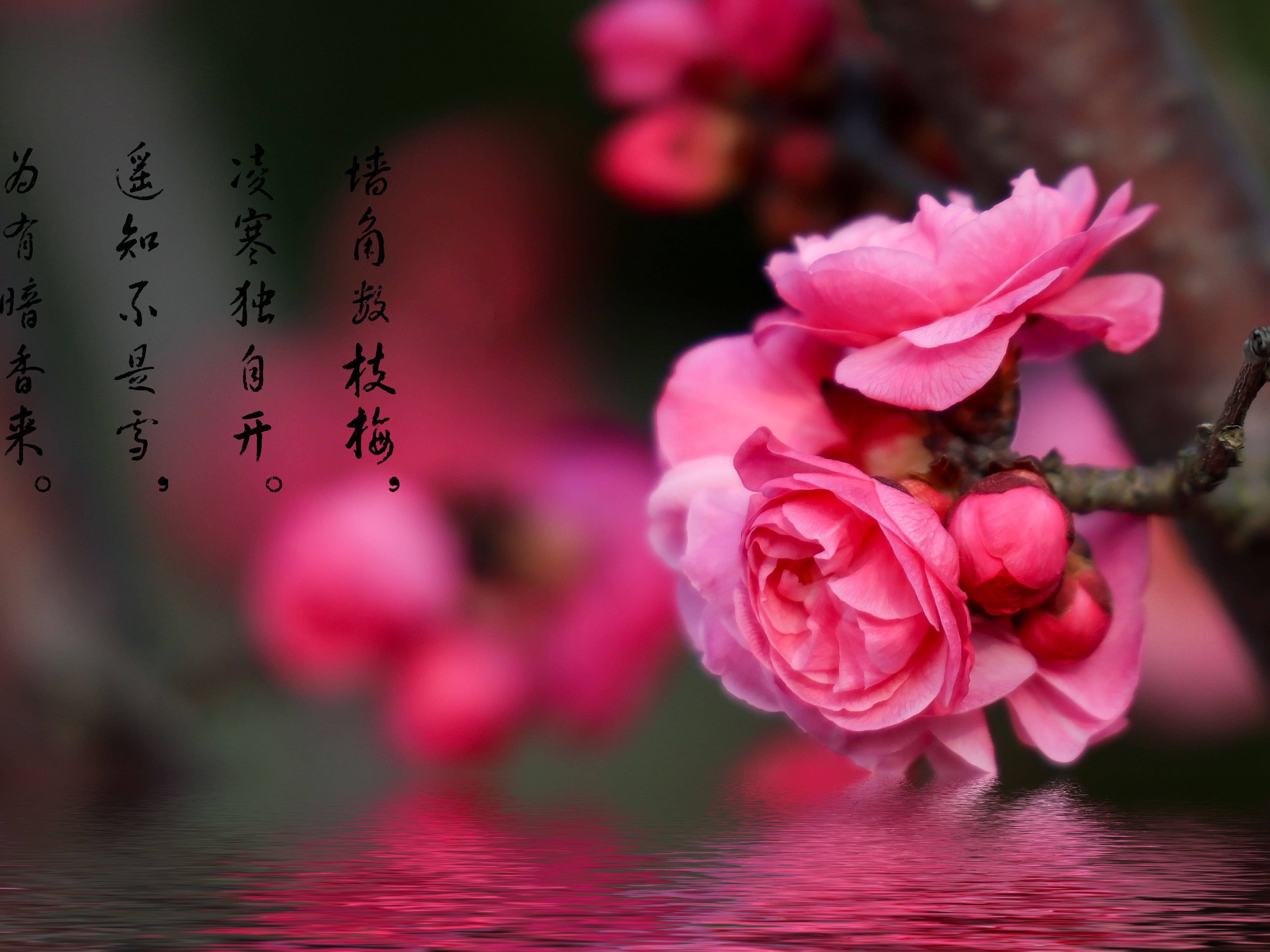 暗香