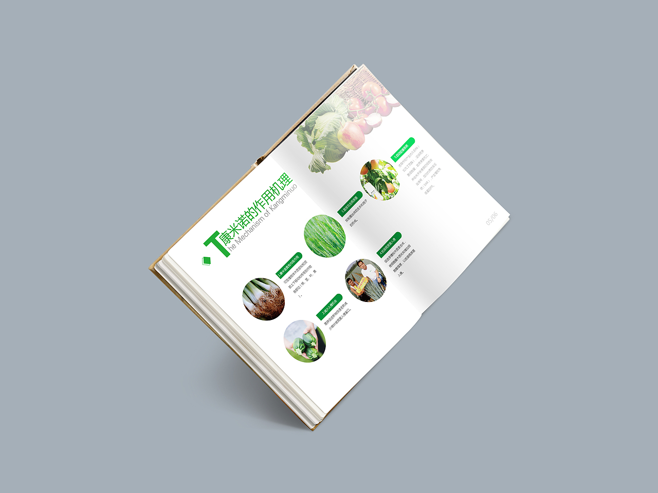 农业画册（图ZMTk5ODUyMTg4） - 海报 - 站酷设计师哎呦庞庞原创素材 - 站酷ZCOOL