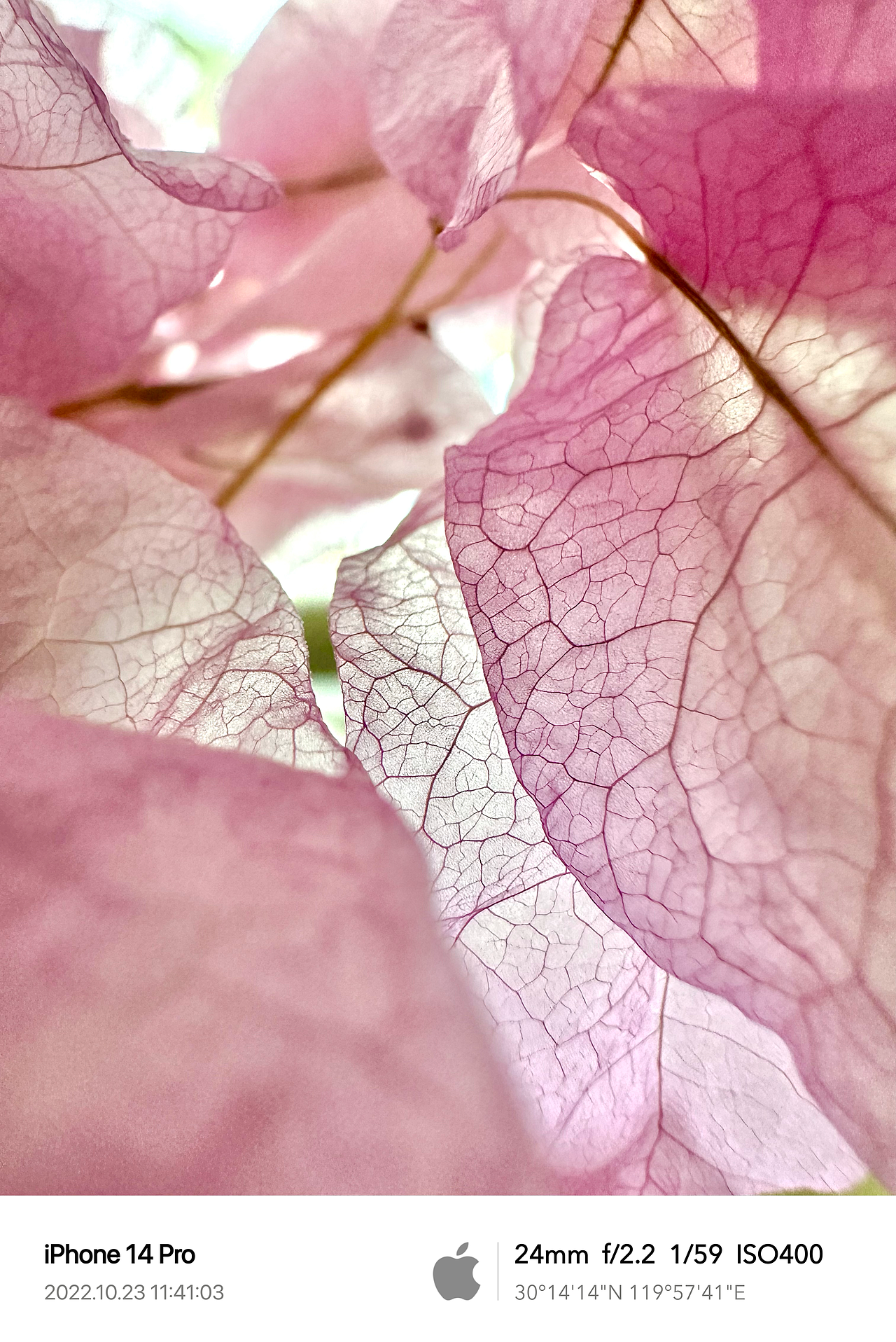 Clint手机摄影/生活观察2022Q4（图ZMzQ1ODI5MzQw） - 人文/纪实摄影 - 站酷设计师Clint克林原创素材 - 站酷ZCOOL