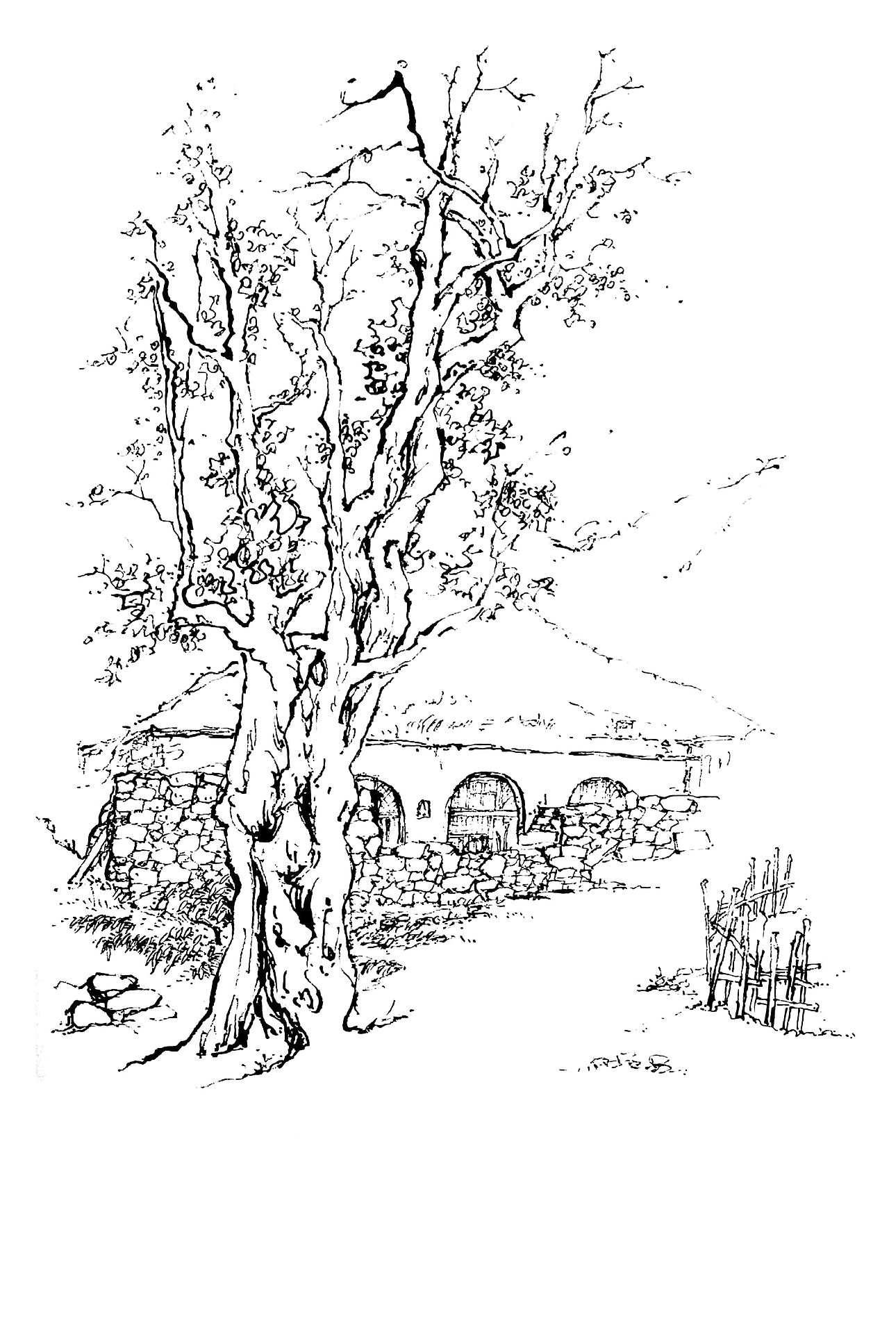 黄土高原风景——窑洞速写_延杨红钢笔画-站酷zcool