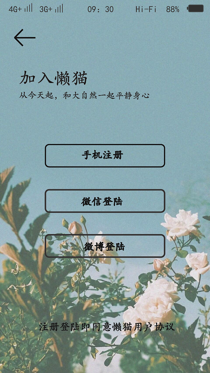 懒猫（图ZMTIwMTc0MTQ0） - 其他平面 - 站酷设计师错觉VC原创素材 - 站酷ZCOOL