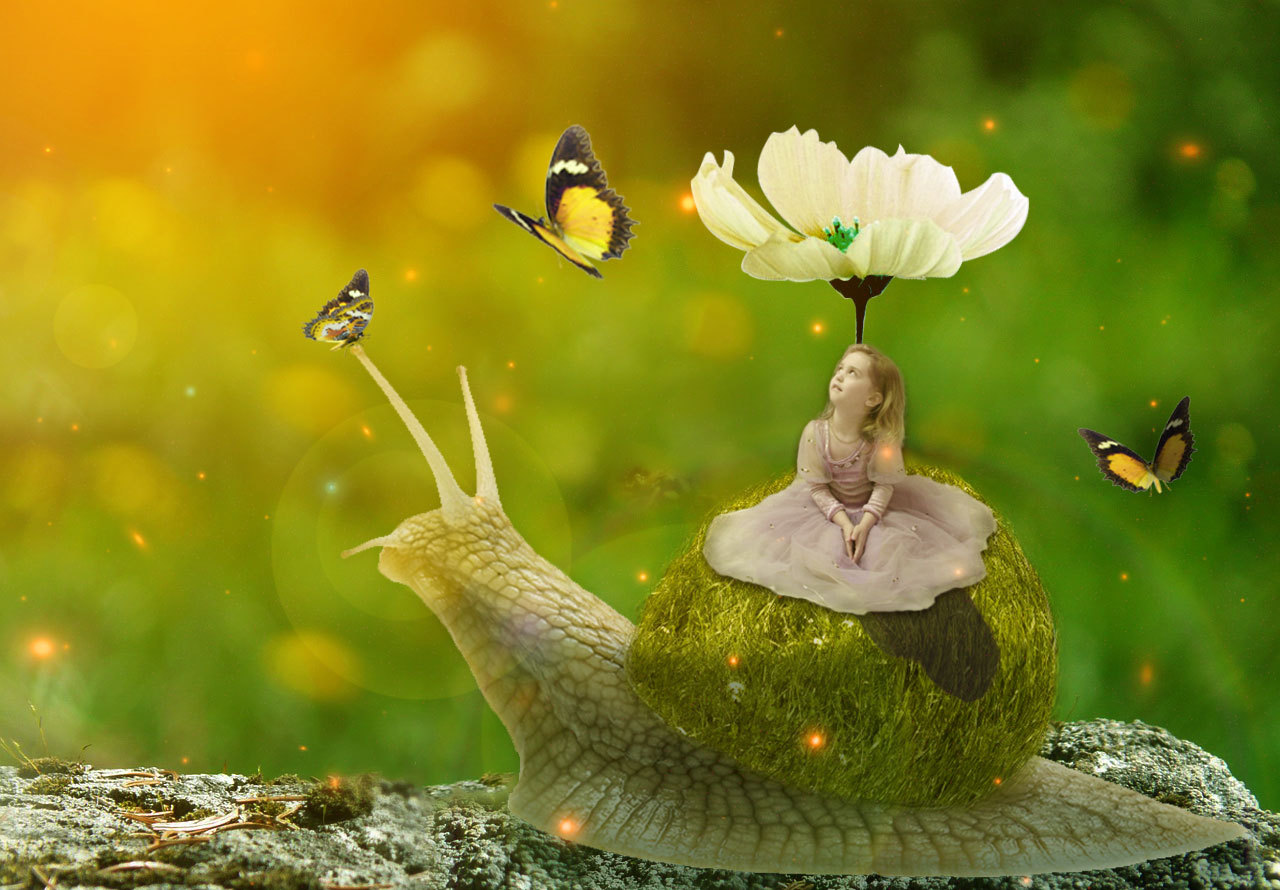 蜗牛背上的小女孩