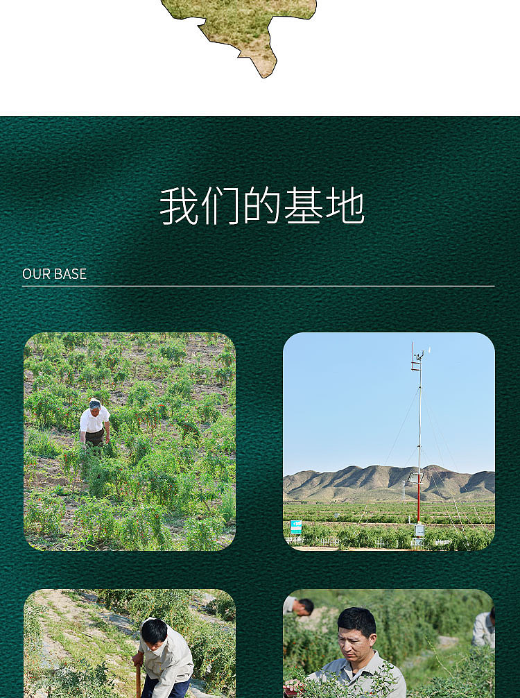 枸杞详情页（图ZMjIxMTM0NDAw） - 电商 - 站酷设计师霜霜设计原创素材 - 站酷ZCOOL