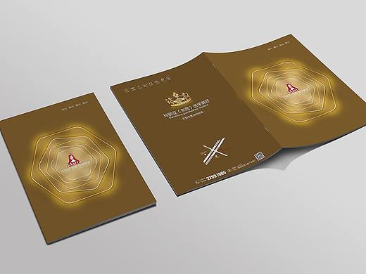 整形项目手册（个人主页-ZMjUyNzg3Mjg=） - 书籍/画册 - 站酷设计师yiranxiaxia52原创素材 - 站酷ZCOOL