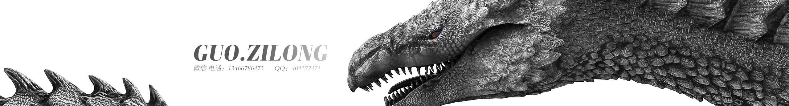 G子龍的个人主页（封面预览） - 主页封面设置 - 站酷设计师G子龍原创素材 - 站酷ZCOOL