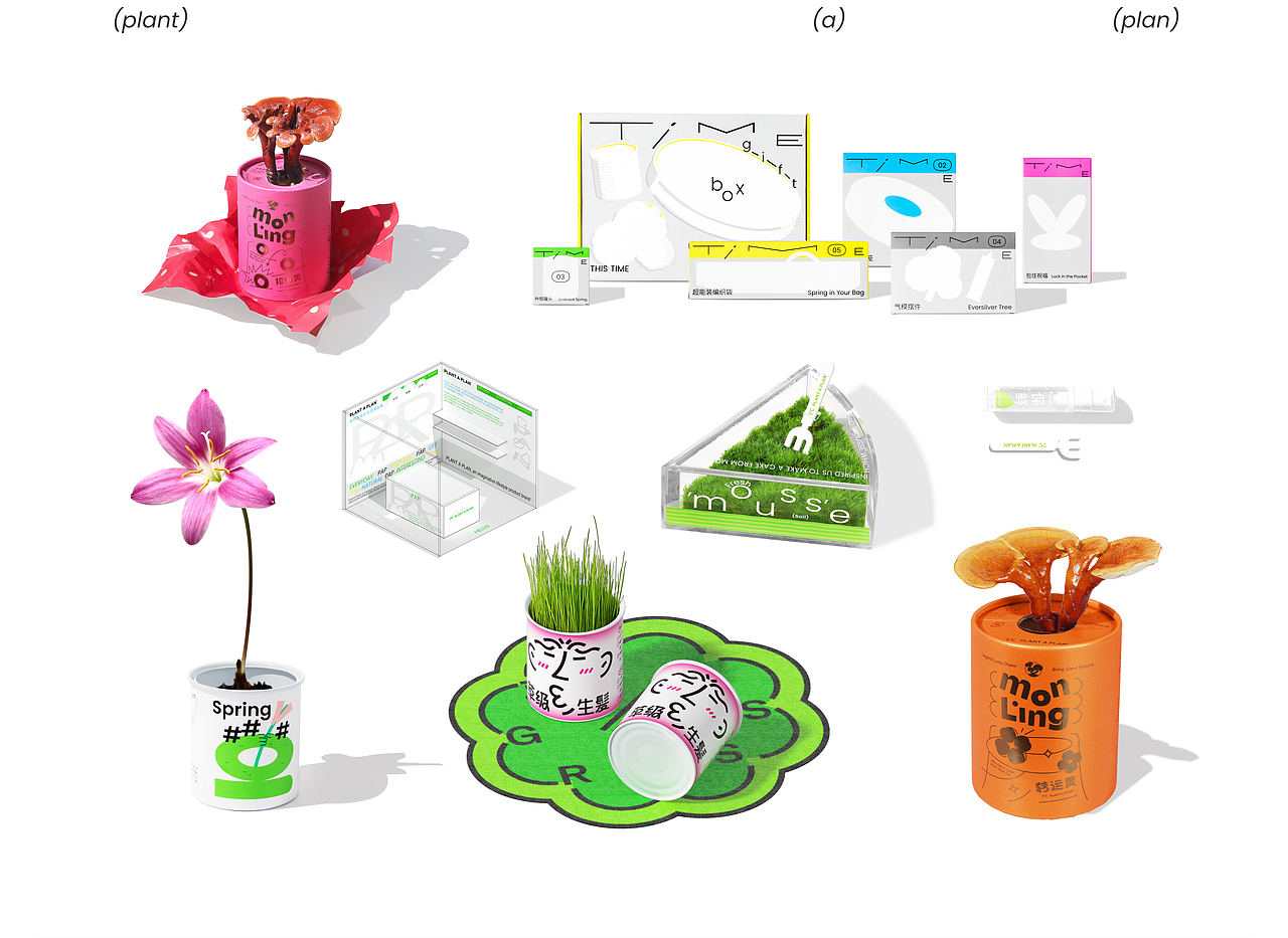 PLANT A PLAN | 自然轻生活产品包装设计合集