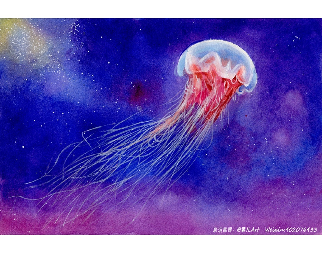  水母> 水彩作品