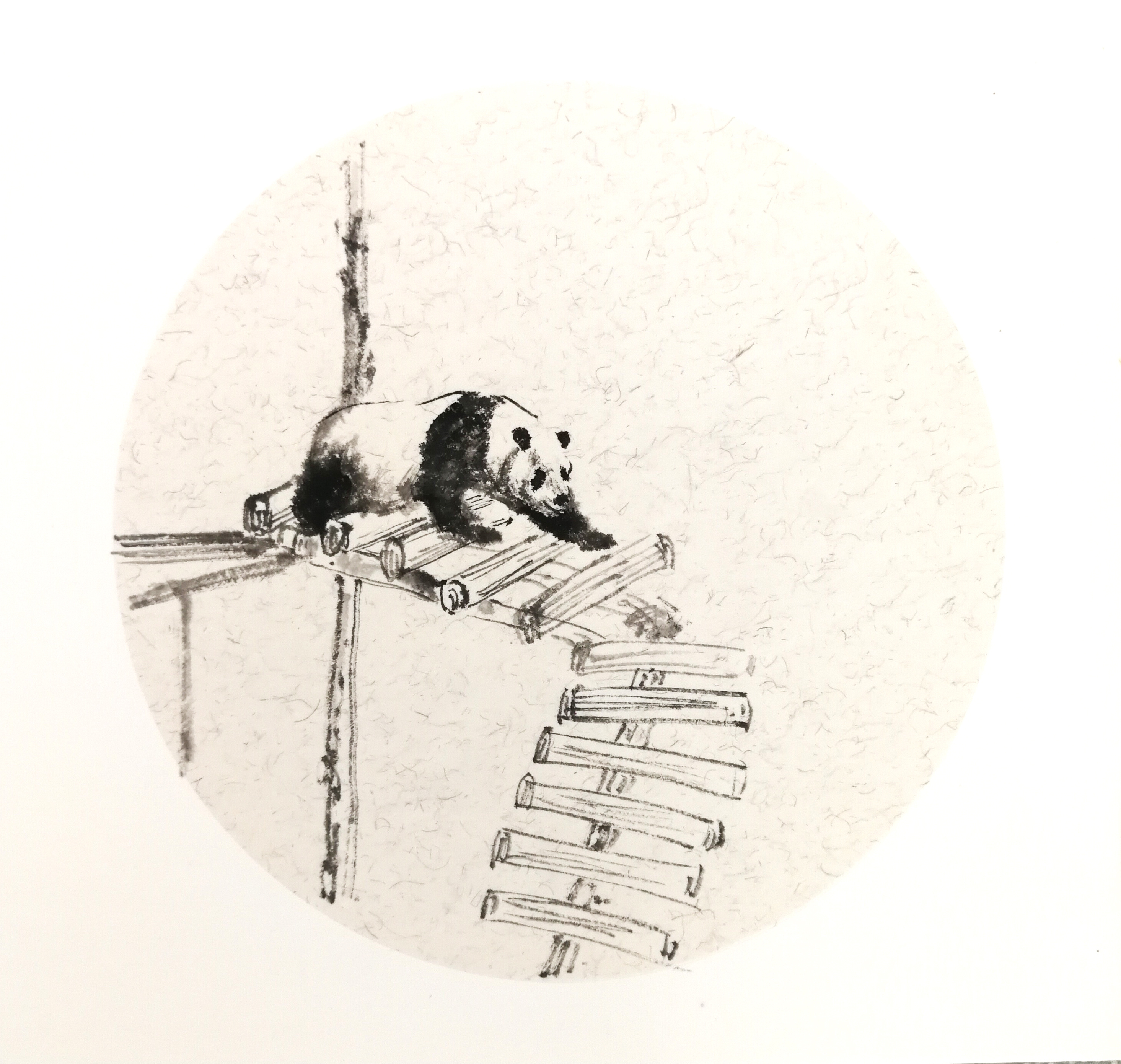 熊猫|纯艺术|国画|半山道人 - 原创作品 - 站酷 (zcool)