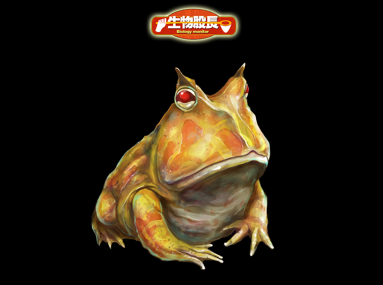 生物股长之角蛙