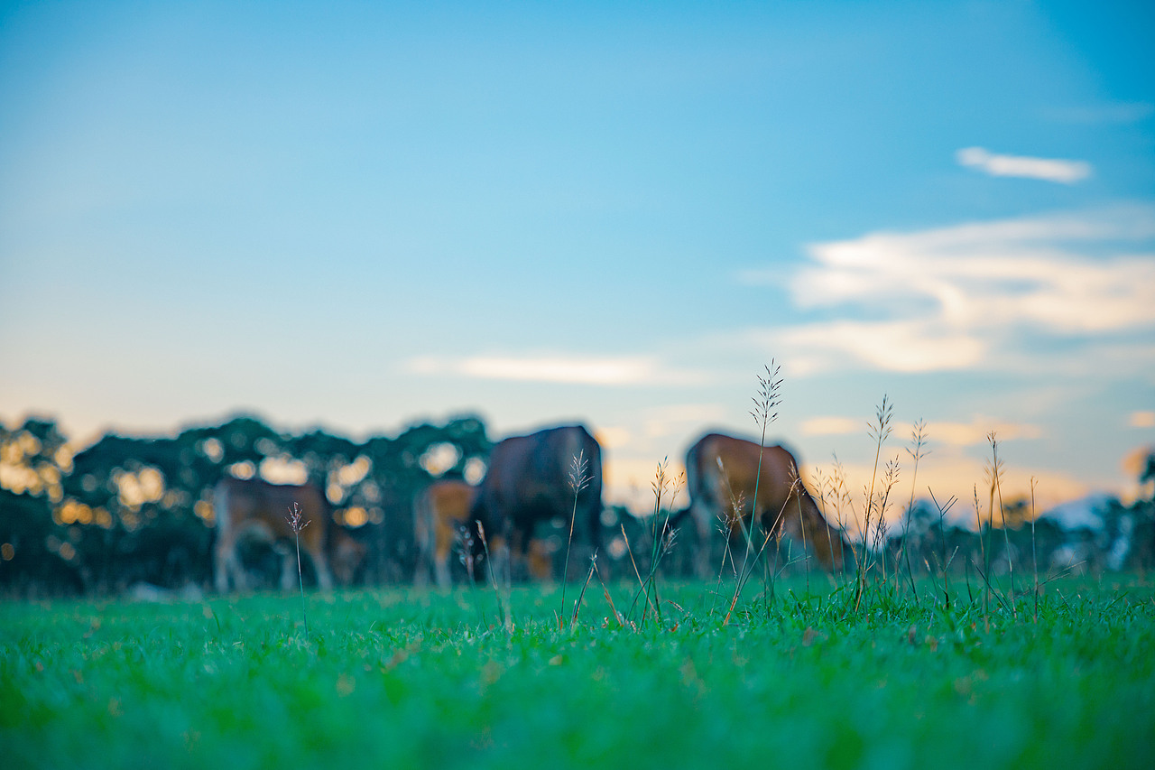香港湾仔南营地及周边02