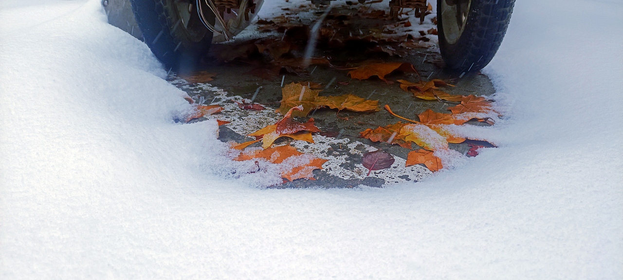 雪里的故事 秋天在大雪里走向尾声